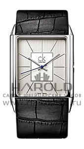 Швейцарские часы Calvin Klein Ck Angular K9621120